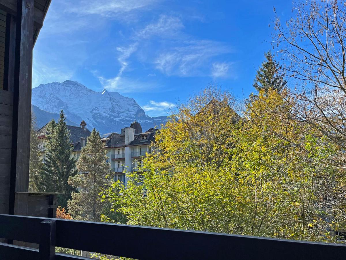Apartment Im Gruebi-1 By Interhome Wengen Kültér fotó