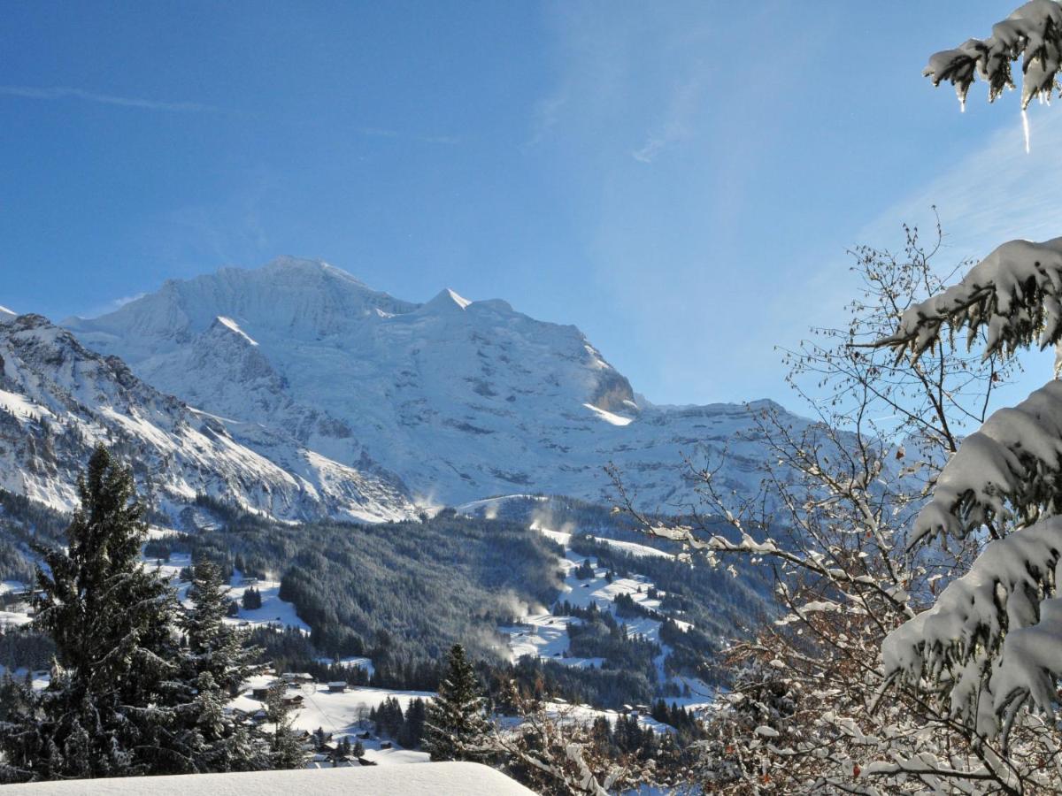 Apartment Im Gruebi-1 By Interhome Wengen Kültér fotó